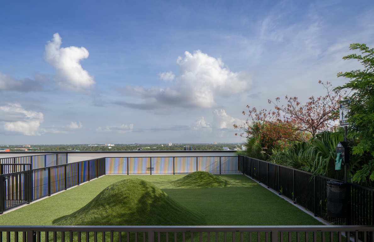 Wynwood Plaza Residences dog park amenity - Miami, FL